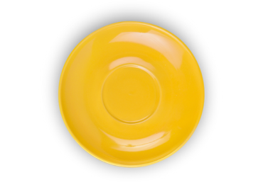 Dish